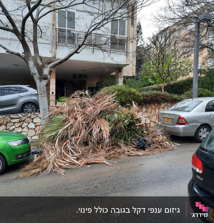 ערימת ענפים גזומים על הכביש ליד מכוניות חונות